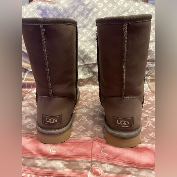 Brown Classic Short Ugg Boot - Picture 2 of 8